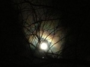 nov full moon 1