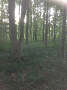 389234_586900211341671_475276898_n