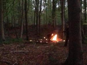 971104_577139785651047_1929472958_n