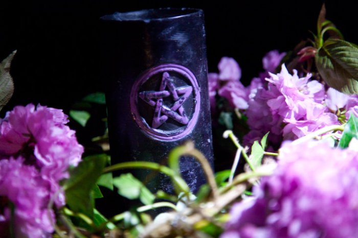 32488_448012804201_7206858_n